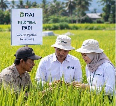 RAI field validation in maize crop under Indonesian conditions